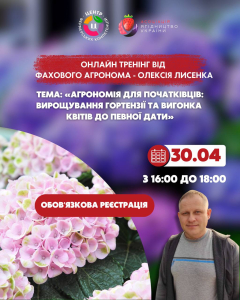 Агрономія для початківців: вирощування гортензії та вигонка квітів до певної дати